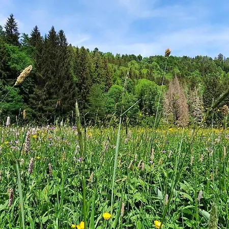 Seelust Daire Schluchsee