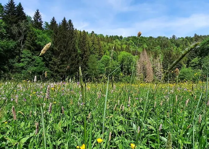 Seelust Daire Schluchsee